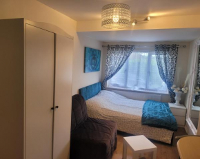 Coccon studio flat